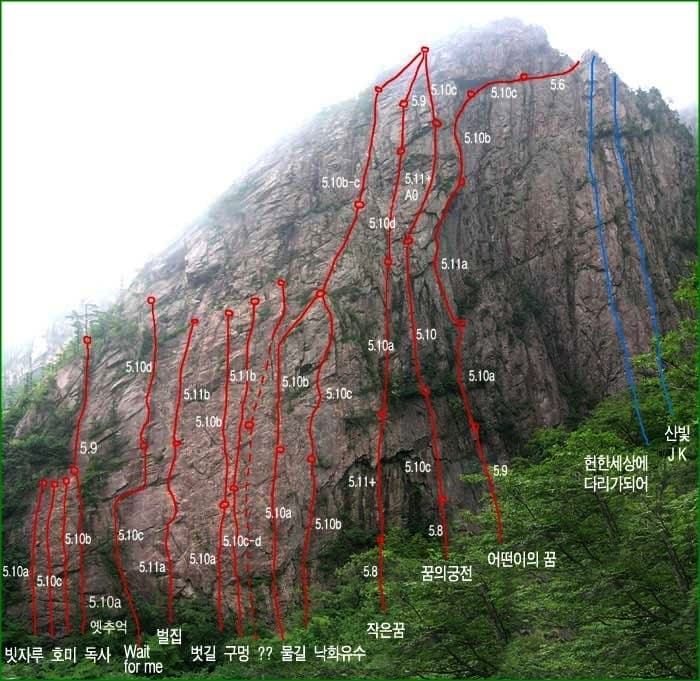 소토왕골 썸네일