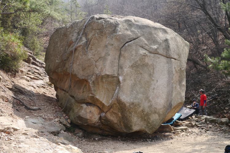 감자바위 썸네일